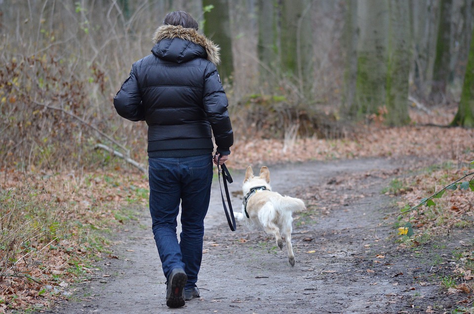 Giv dig selv og din hund frihed